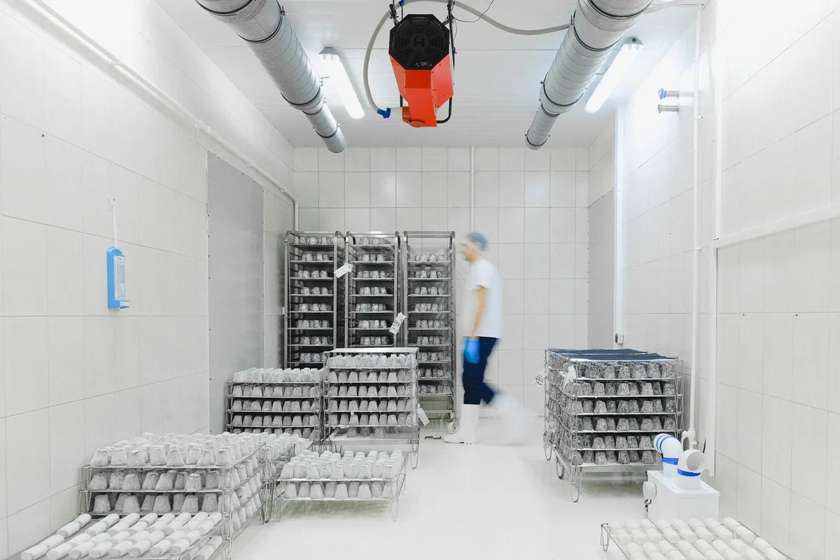 Interior de una cámara fría industrial con estanterías de producto refrigerado.